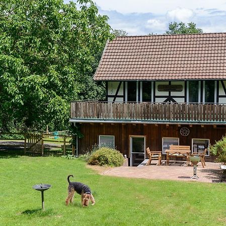 Forsthaus Halbemark Bad Sooden-Allendorf Exteriör bild