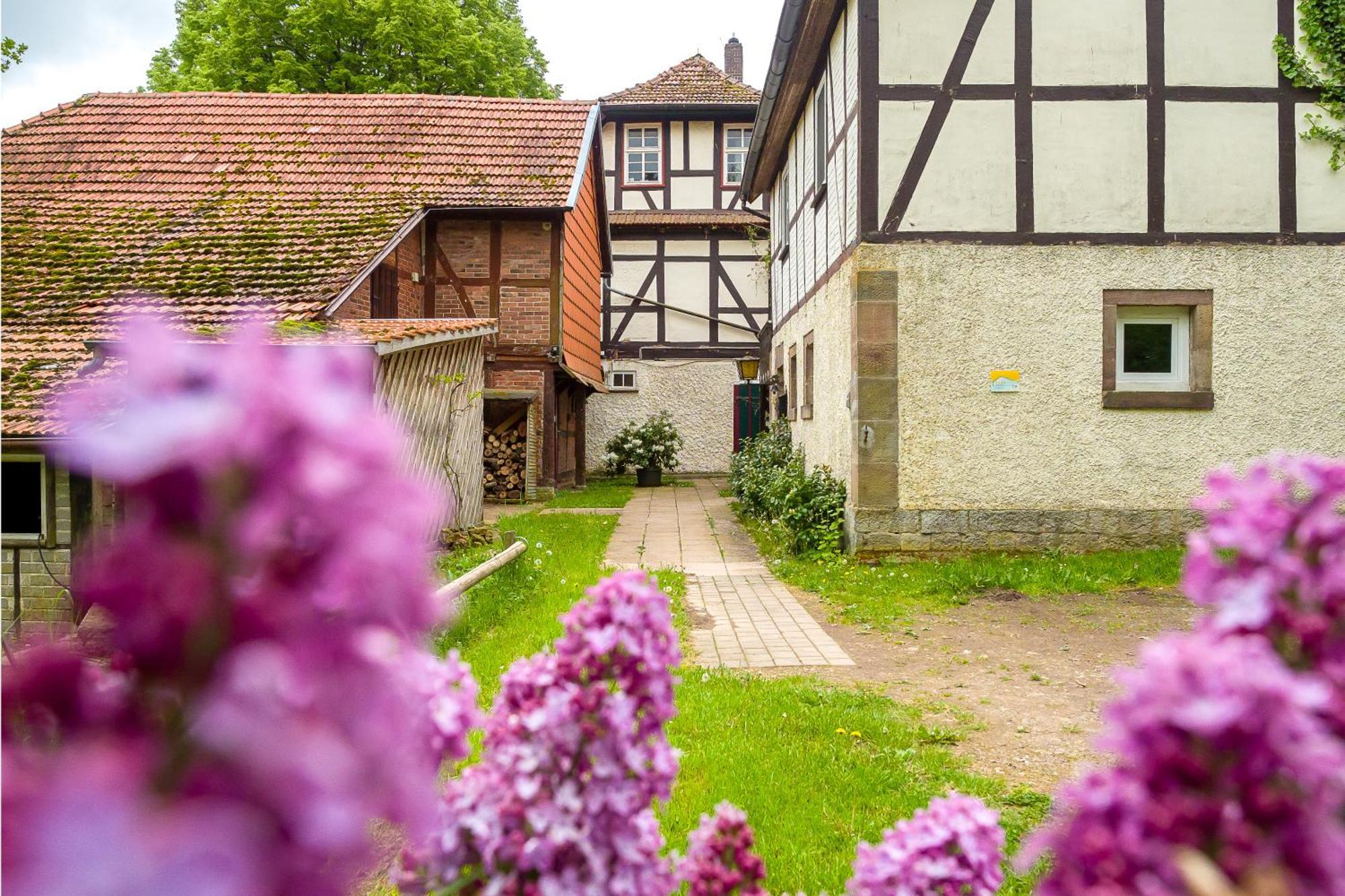 Forsthaus Halbemark Bad Sooden-Allendorf Exteriör bild